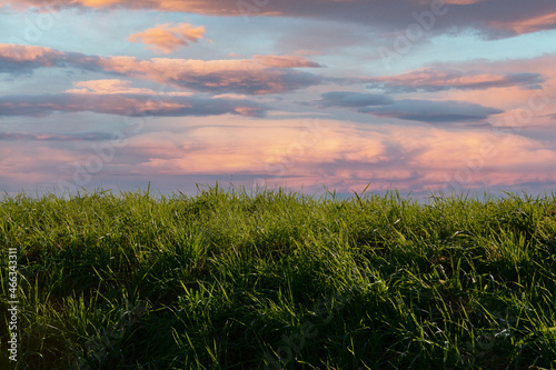 Green grass , clouds and sky