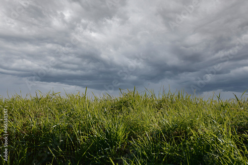 Grass and a sky with raining clouds