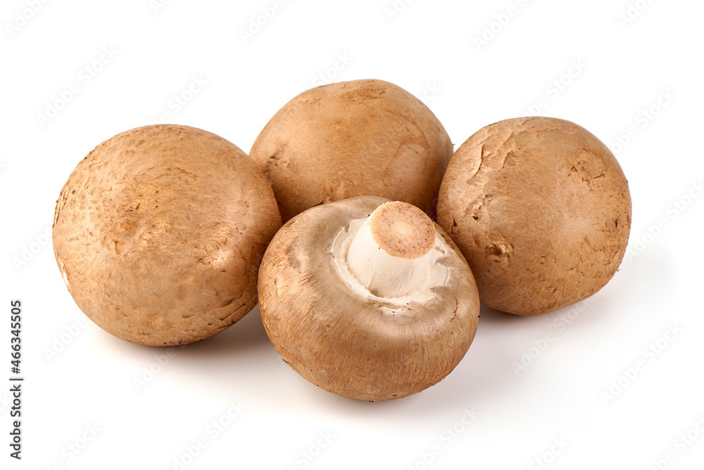 Royal brown champignons, isolated on white background. Royal brown champignons, isolated on white background.