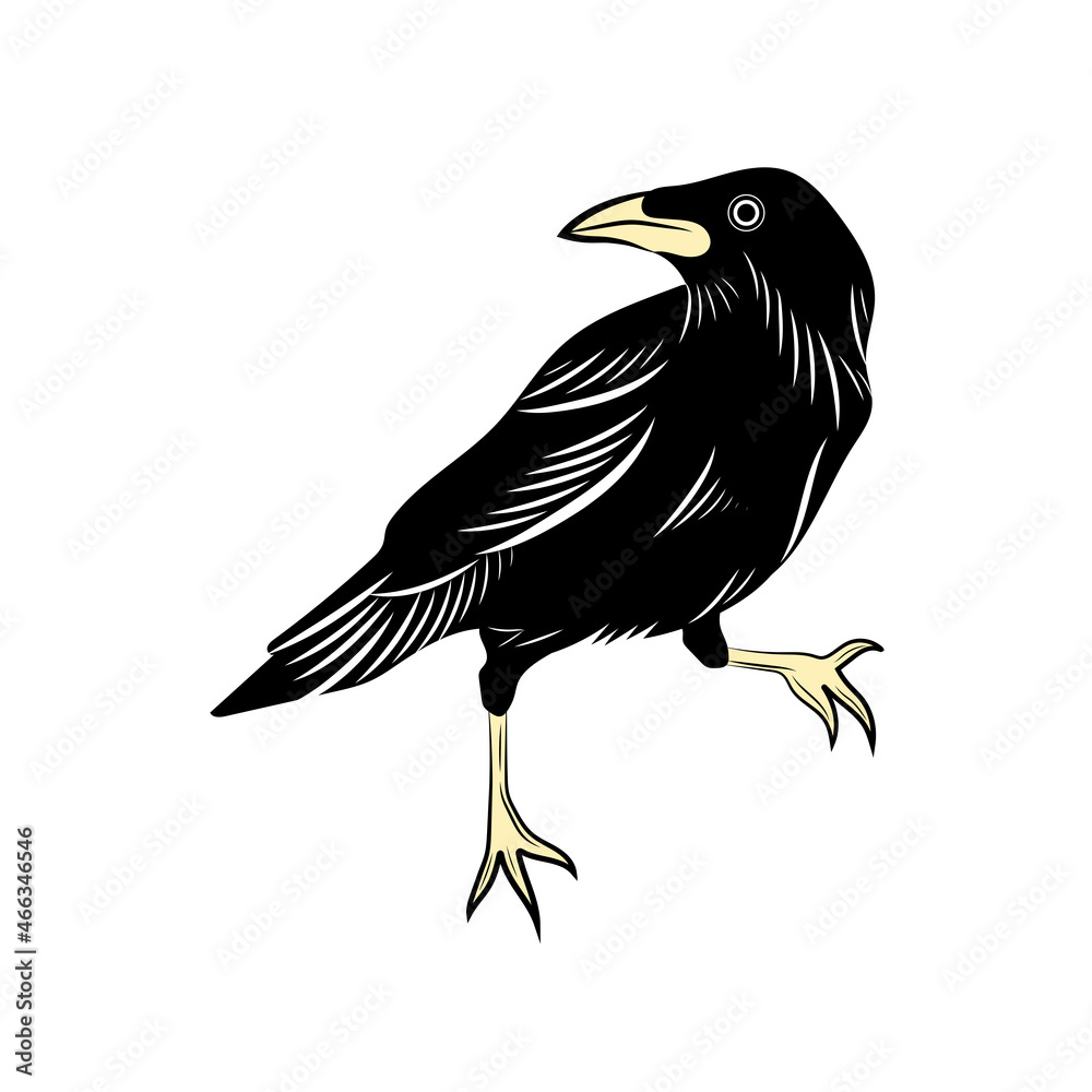 Fototapeta premium black crow sticker