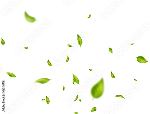 Green leaves flying on white background. Organic, eco, vegan, design element. Beauty product. Leaf falling. Wave foliage ornament. Fresh tea composition. Cosmetic pattern frame. Vector illustration