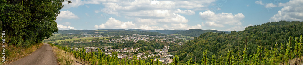 Panorama from Vineyard in Germany