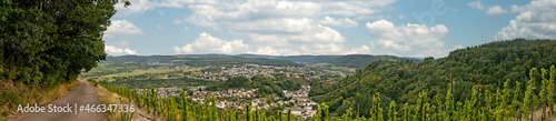 Panorama from Vineyard in Germany © Birgit Reitz-Hofmann