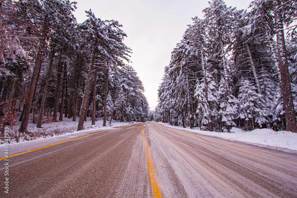 Road leading towards colorful sunrise at winter in Turkey