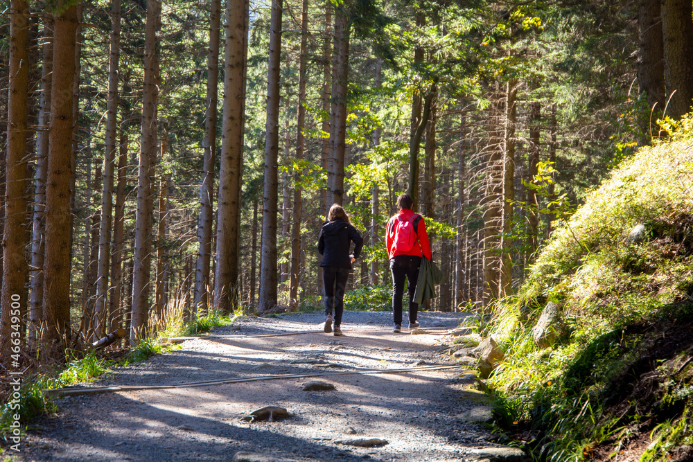Obraz premium Group of hikers in the Krkonose Mountains on the trail towards the Snezka