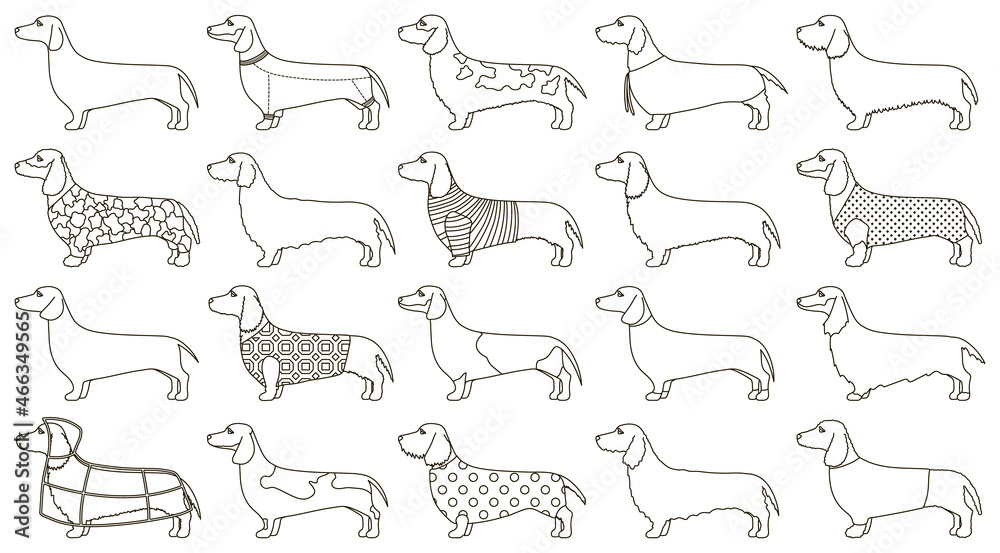 Dachshund isolated outline set icon. Vector illustration dog on white background. Vector outline set icon dachshund.