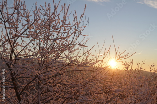 Frozen morning at moutains with first snow at branches dawn daybreak © Vaclav N.