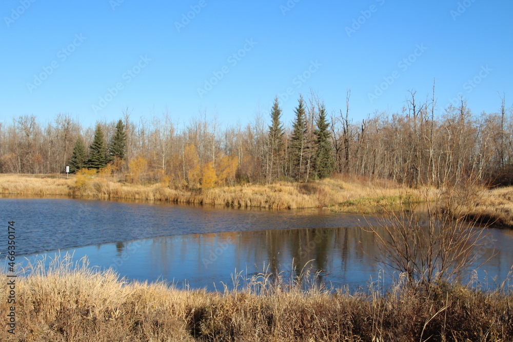 lake in the forest, Pylypow Wetlands, Edmonton, Alberta