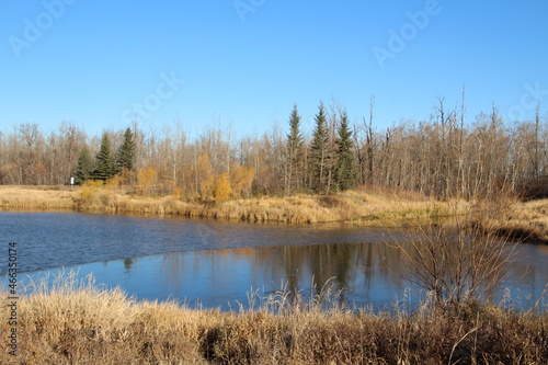 lake in the forest, Pylypow Wetlands, Edmonton, Alberta