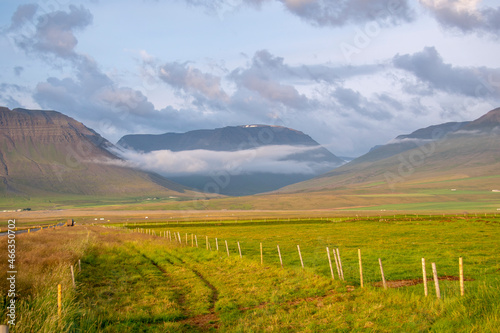 Grassy cloudy landscape in rural Iceland with mountain background