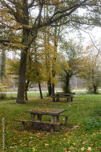 Vieuw of picnic area under the autumnal trees in border the road