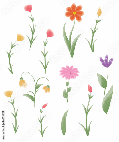 Set of colorful vector flowers © NumediaPhoto