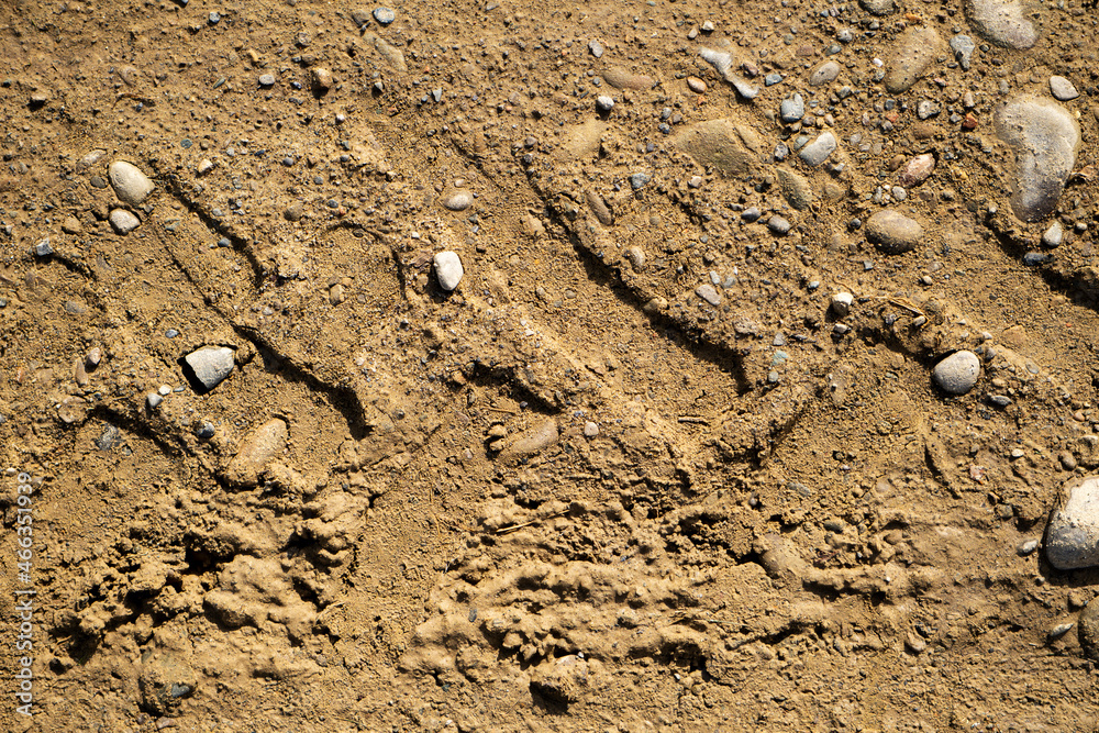 Fototapeta premium Close up view of muddy tyre track on the country road