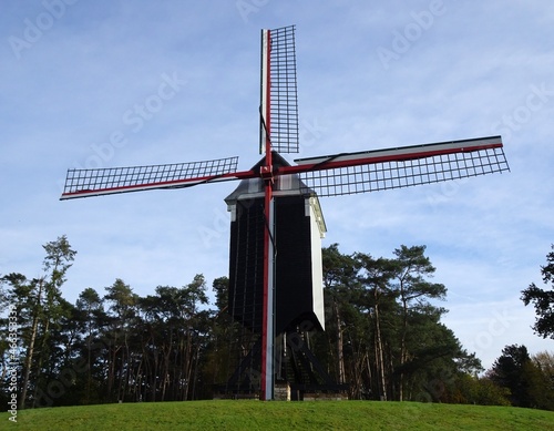 Landscape with windmill, Beddermolen Tongerlo, Belgium. photo