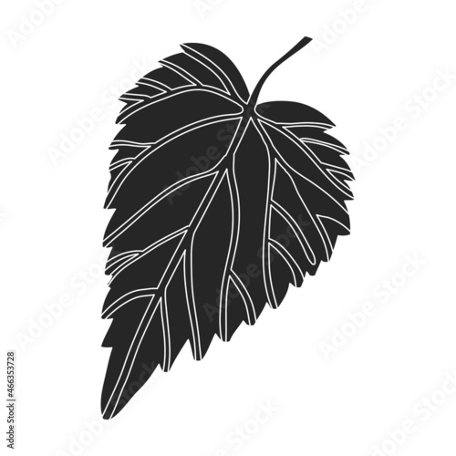 Hop vector black icon. Isolated black illustration icon humulus. Vector illustration hop on white background.