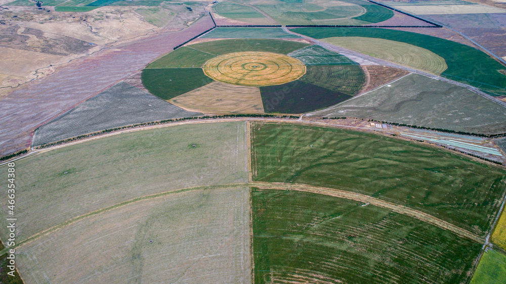 circle crop fields seen from above