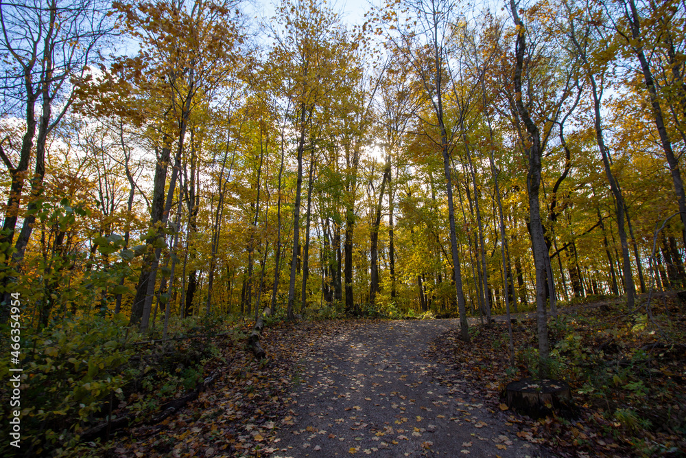 Fototapeta premium Canadian Natural Area in Fall