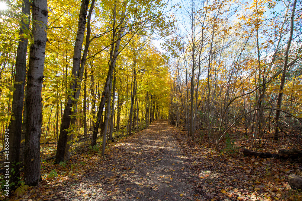 Canadian Natural Area in Fall Canadian Natural Area in Fall