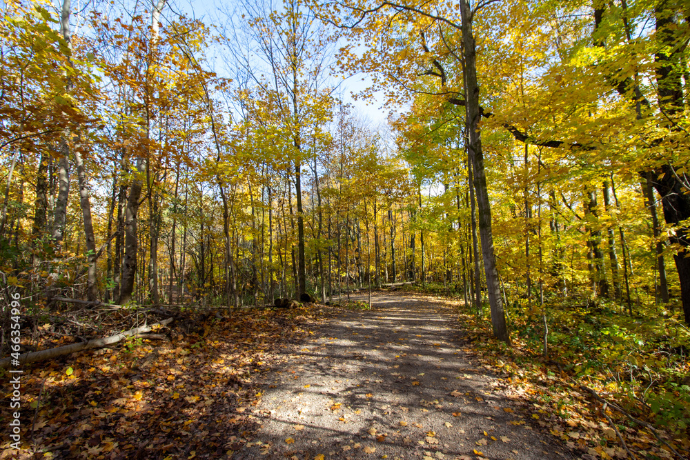 Obraz premium Canadian Natural Area in Fall
