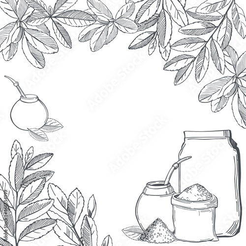 Yerba mate set. Vector background.