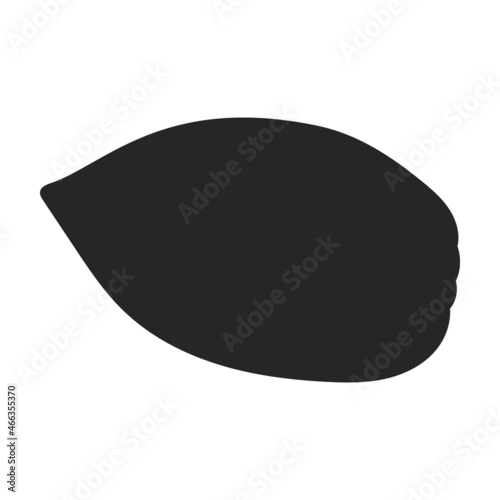 Cocoa bean isolated black illustration icon. Vector illustration chocolate fruit on white background. Vector black icon cocoa bean.