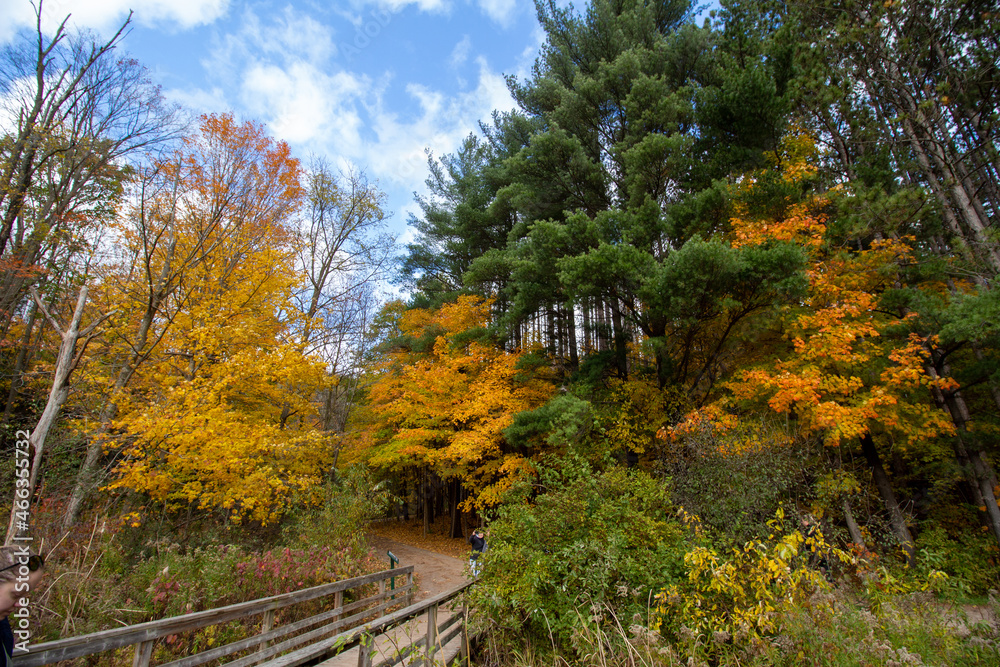 Canadian Natural Area in Fall