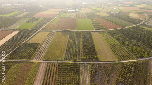 Aerial view of trees and agricultural farm crops in Greece photo