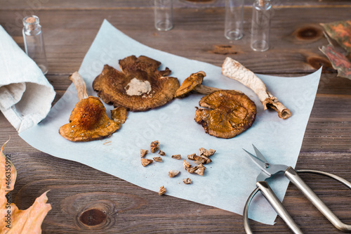 Dried chopped amanita ready to eat on parchment and scissors on a wooden table. Microdosing and Alternative Medicine.