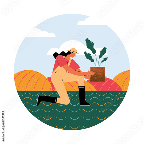 female farmer planting photo