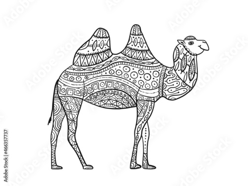 Wallpaper Mural Hand drawn camel, zentangle ornament for adult anti stress Coloring book