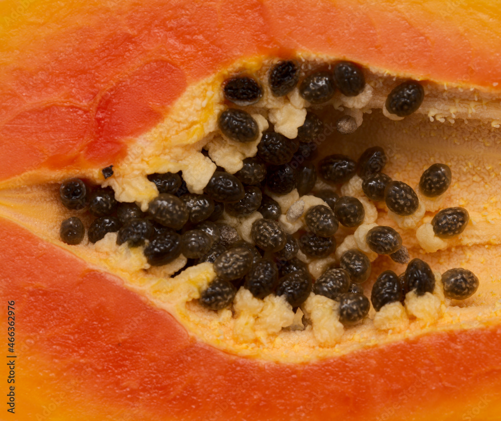 Horticulture of Gran Canaria - ripe papaya fruit cut in half
Horticulture of Gran Canaria - ripe papaya fruit cut in half