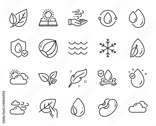 Vector set of Hazelnut, Snowflake and Cloudy weather line icons set. Beans, Leaves and Cold-pressed oil icons. Wind energy, Waves and Flood insurance signs. Leaf, Vitamin e and Leaf dew. Vector