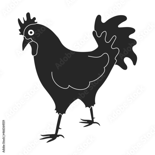 Cock of animal black vector icon.Black vector illustration rooster. Isolated illustration of cock rooster icon on white background. photo