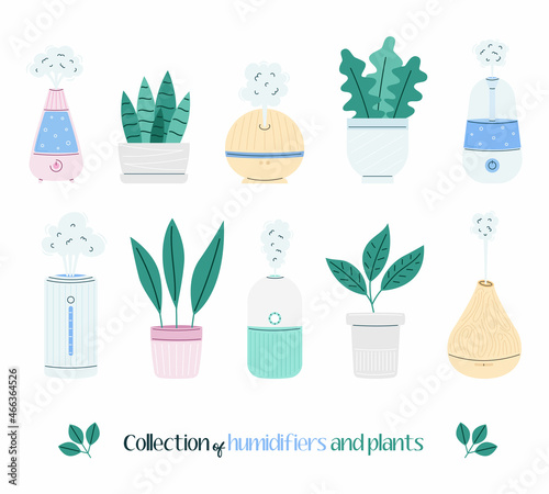 Collection of humidifiers and plants