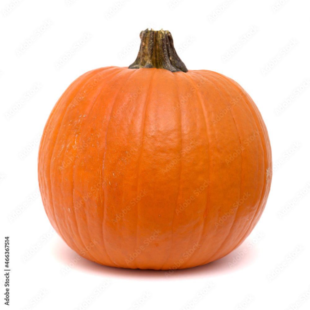Obraz premium Round orange pumpkin isolated on white background 