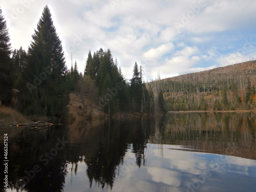 Lake Laka with floating islands on the surface is the smallest, shallowest and highest glacial lake in Šumava in past acid water now return of brown trout salmo trutta survey for fish  photo