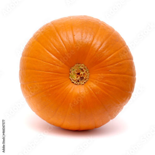Round orange pumpkin isolated on white background