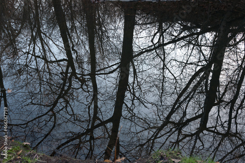 reflection of trees in a still canal