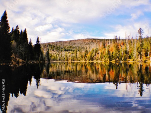 Lake Laka with floating islands on the surface is the smallest, shallowest and highest glacial lake in Šumava photo