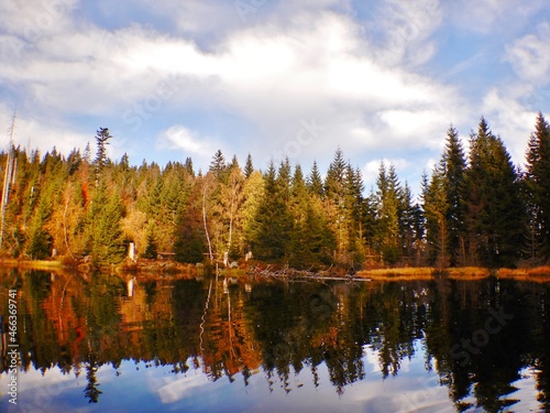 Lake Laka with floating islands on the surface is the smallest, shallowest and highest glacial lake in Šumava photo