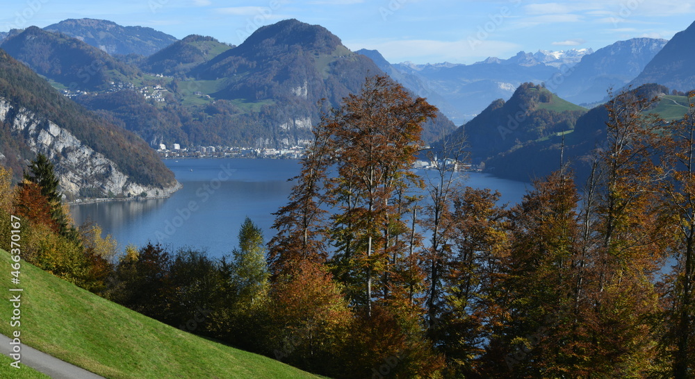 Fototapeta premium suisse centrale