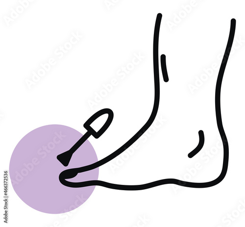 Nail pedicure, illustration, vector, on a white background.