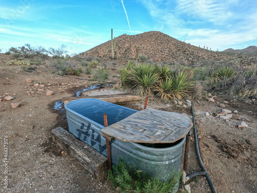 Water source in the desert on the Arizona Trail, Kearny, Arizona, U.S.A photo