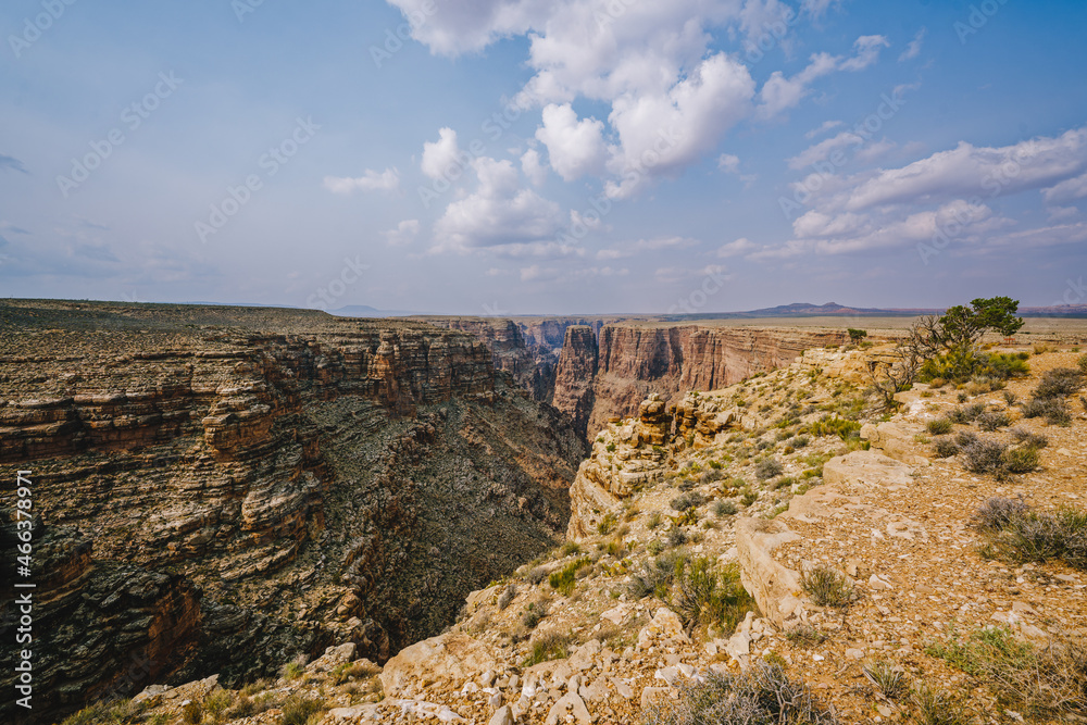 Little Colorado River Navajo Tribal Park canyon, AZ