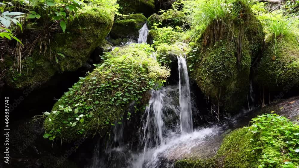 The sound of water flowing along the cool moss valley deep in the summer The sound of water flowing along the cool moss valley deep in the summer