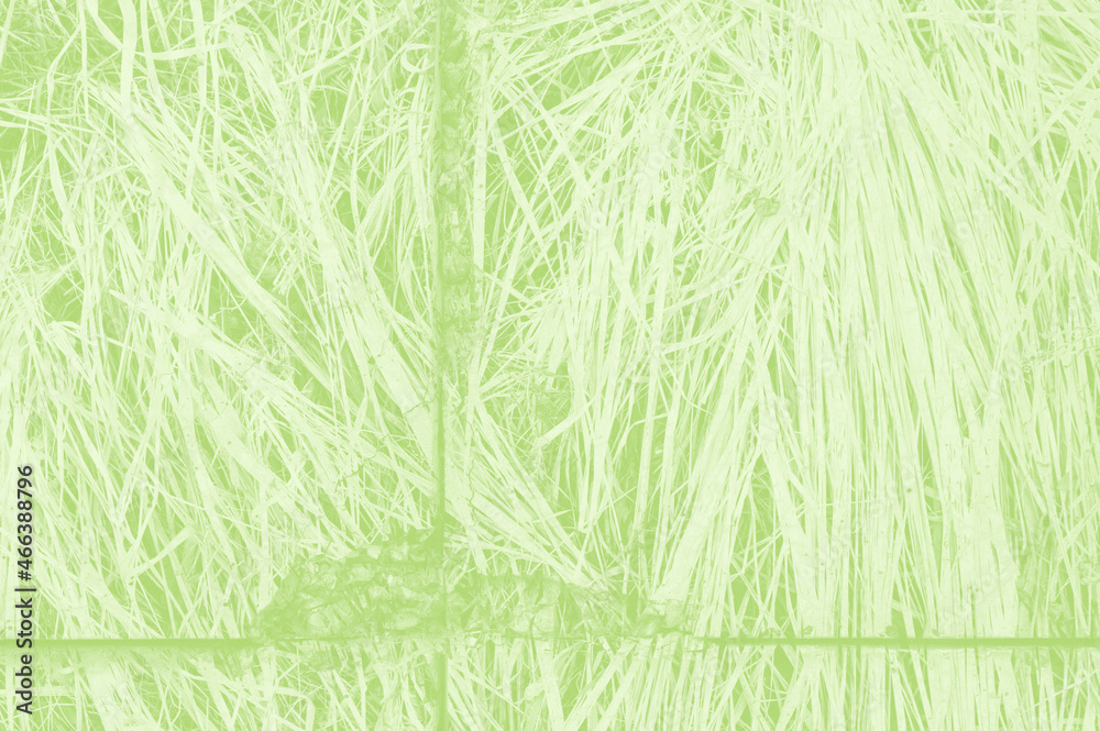 abstract light green background with copy space for design abstract light green background with copy space for design