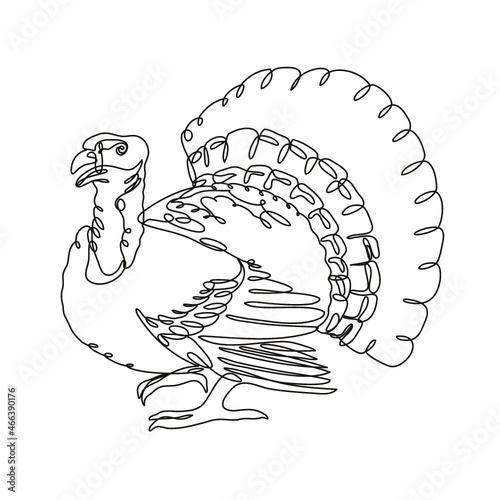 Continuous line drawing illustration of a wild turkey or domestic turkey viewed from side done in mono line or doodle style in black and white on isolated background. 
