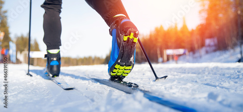 Banner Winter sports competitions, cross country skis glide on fresh snow