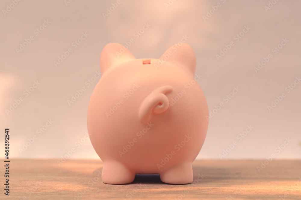 Piggy bank saving money for the future. Piggy bank saving money for the future.
