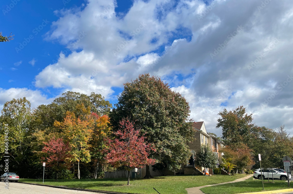 Lorton, Virginia, USA - October 31, 2021: Suburban Homes Surrounded by Trees Changing Colors and Leaves Falling from the Branches on a Bright Autumn Morning